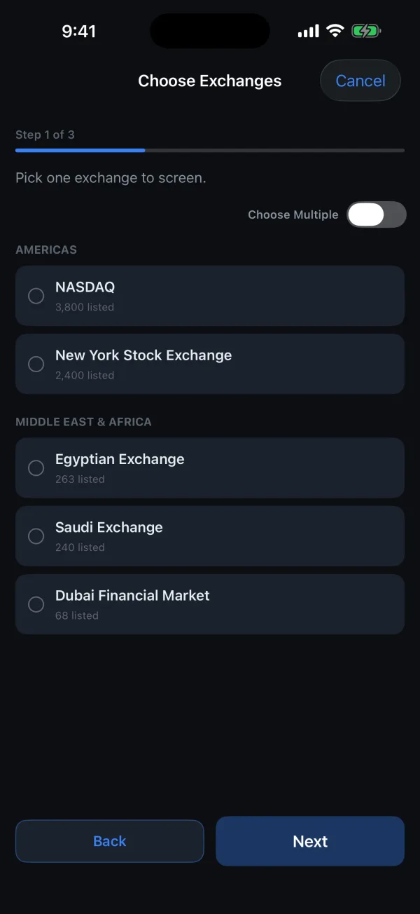 Watchlist builder step one: choosing exchanges, with NASDAQ, New York, the Egyptian Exchange, the Saudi market and Dubai listed